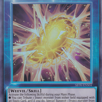 Cocoon of Ultra Evolution [SBTK-ENS04] Ultra Rare