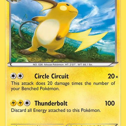 Raichu (43/146) (Battle Arena Deck Exclusive) (Theme Deck Exclusive) [XY: Base Set]