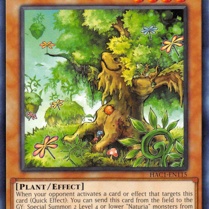 Naturia White Oak (Duel Terminal) [HAC1-EN115] Parallel Rare