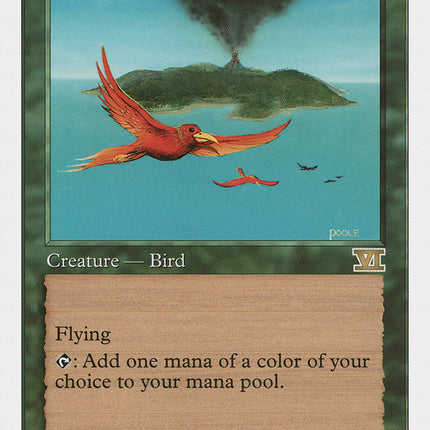 Birds of Paradise [Classic Sixth Edition]