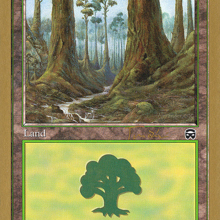 Forest (jt349) (Jan Tomcani) [World Championship Decks 2001]