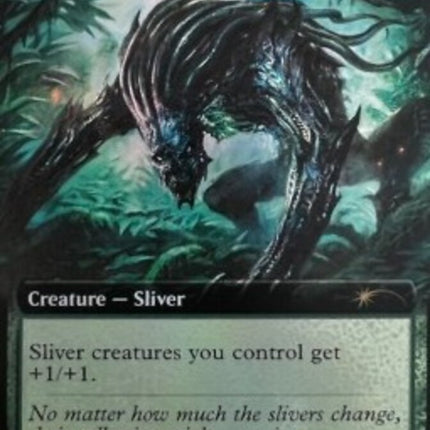 Predatory Sliver (Extended Art) [Secret Lair Drop Promos]
