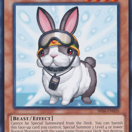 Rescue Rabbit [SR04-EN020] Common