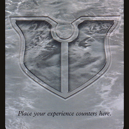 Experience // Experience Double-Sided Token [Commander 2015 Tokens]