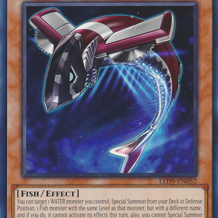 Buzzsaw Shark [LED9-EN052] Common