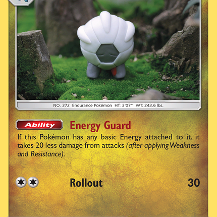 Shelgon (43/70) [Sun & Moon: Dragon Majesty]