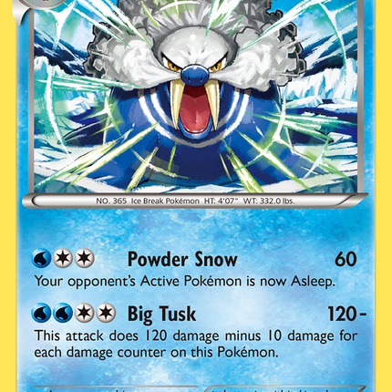 Walrein (26/106) [XY: Flashfire]