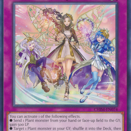 Blessed Winds [CHIM-EN074] Rare