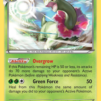 Meganium (3/122) [XY: BREAKpoint]