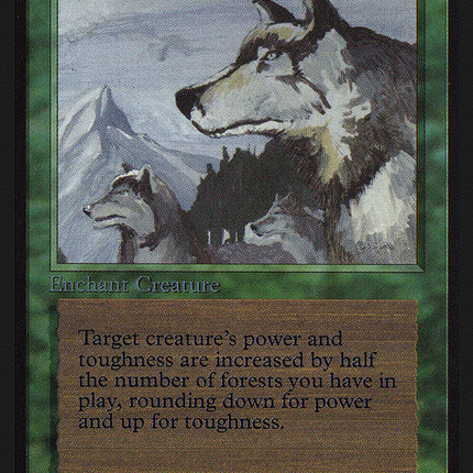 Aspect of Wolf [International Collectors' Edition]