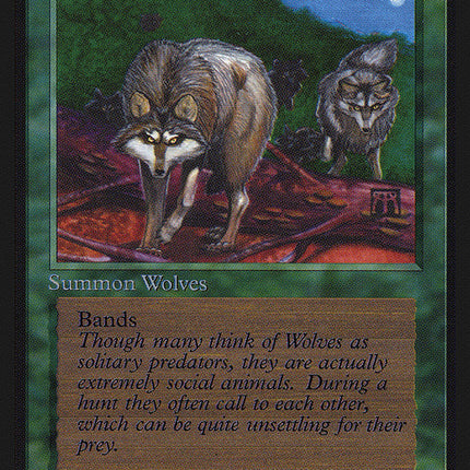 Timber Wolves [Collectors' Edition]