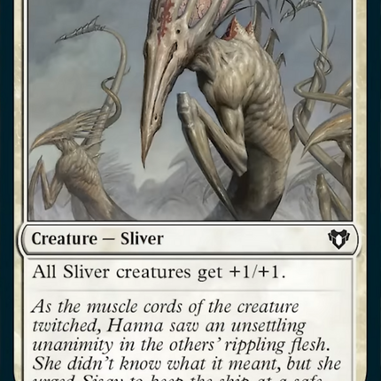 Sinew Sliver [Commander Masters]