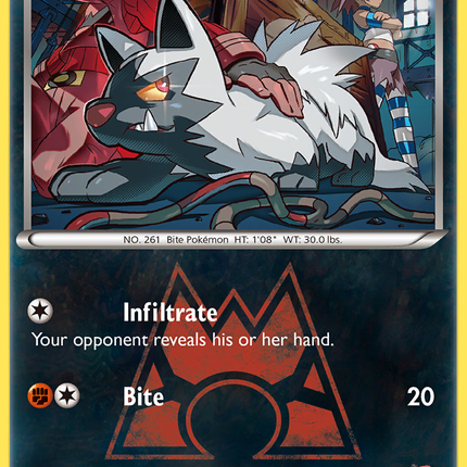 Team Magma's Poochyena (17/34) [XY: Double Crisis]
