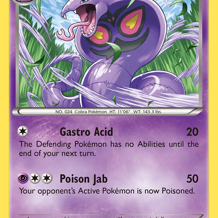 Arbok (48/146) [XY: Base Set]