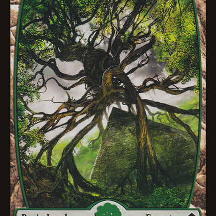 Forest (249) [Zendikar]