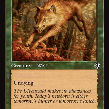 Young Wolf (Retro Frame) [Innistrad Remastered]