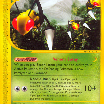 Beedrill (5/144) [Skyridge]