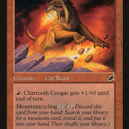 Chartooth Cougar [Scourge]