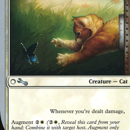 Half-Kitten, Half- [Unstable]