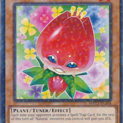 Naturia Tulip (Duel Terminal) [HAC1-EN104] Common
