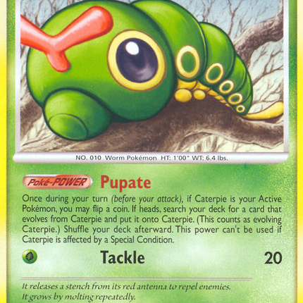 Caterpie (63/106) [Diamond & Pearl: Great Encounters]