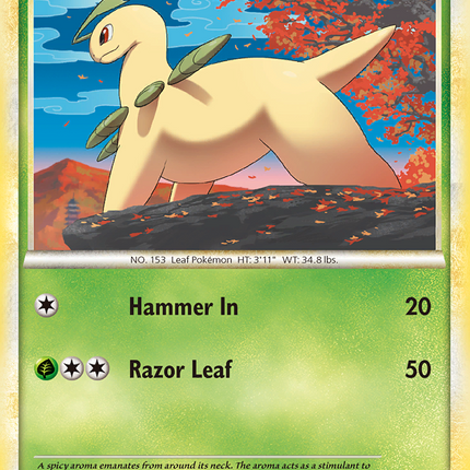 Bayleef (40/95) [HeartGold & SoulSilver: Call of Legends]