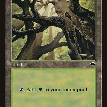 Forest (Looking from Below) [Tempest]