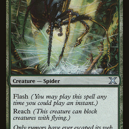Tangle Spider [Tenth Edition]