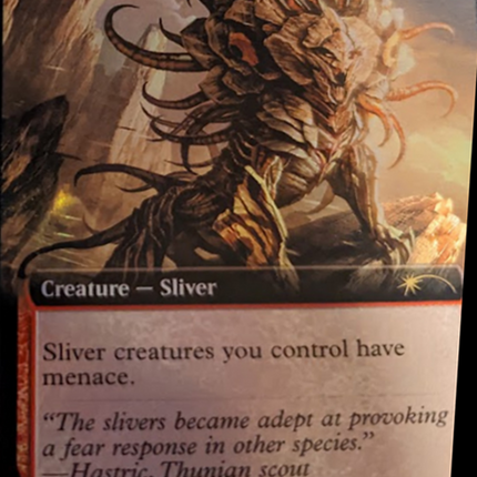 Belligerent Sliver (Extended Art) [Secret Lair Drop Series]