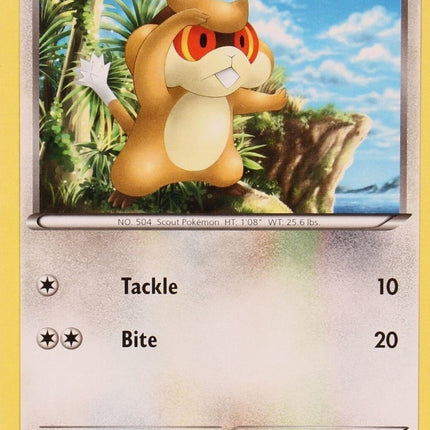 Patrat (29/30) [Black & White: Trainer Kit - Zoroark]