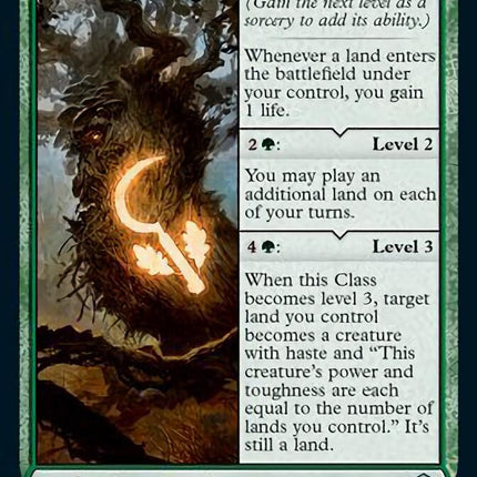 Druid Class [Dungeons & Dragons: Adventures in the Forgotten Realms]