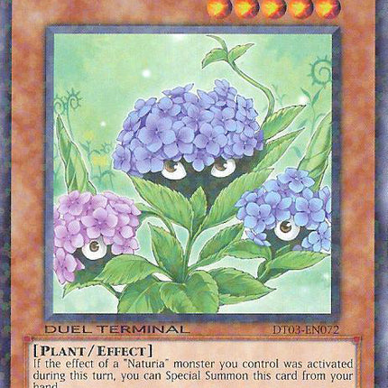Naturia Hydrangea [DT03-EN072] Common
