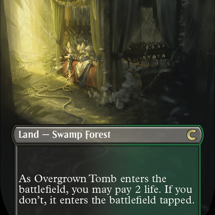 Overgrown Tomb (Borderless) [Ravnica: Clue Edition]