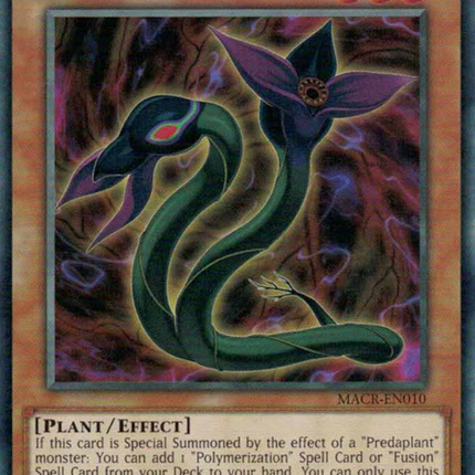 Predaplant Darlingtonia Cobra [MACR-EN010] Common