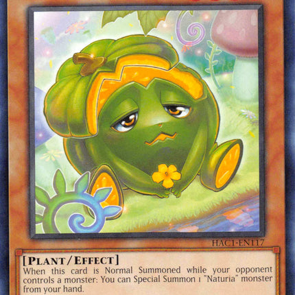 Naturia Pumpkin [HAC1-EN117] Common