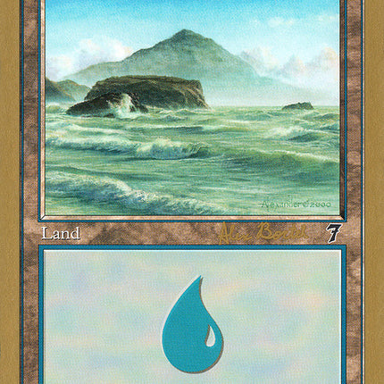 Island (ab333) (Alex Borteh) [World Championship Decks 2001]