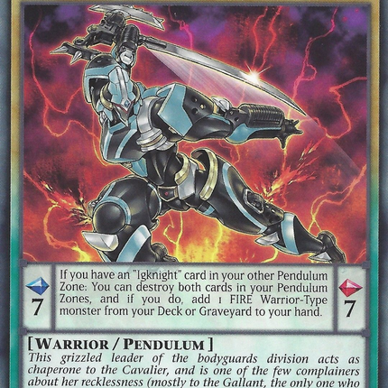 Igknight Veteran [DOCS-EN031] Common