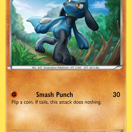 Riolu (46/124) [XY: Fates Collide]