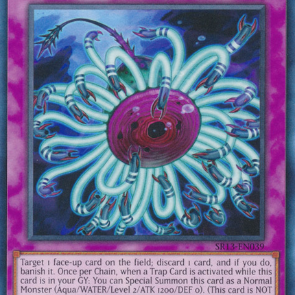 Paleozoic Dinomischus [SR13-EN039] Common