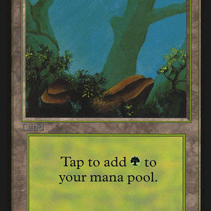 Forest (Two Stones) [International Collectors' Edition]