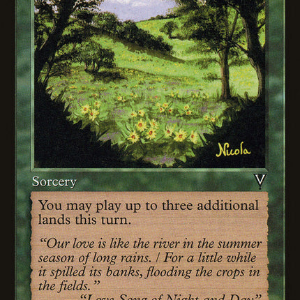 Summer Bloom [Visions]