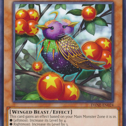 Star Staring Starling [DANE-EN024] Rare