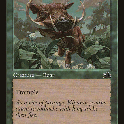 Pygmy Razorback [Prophecy]