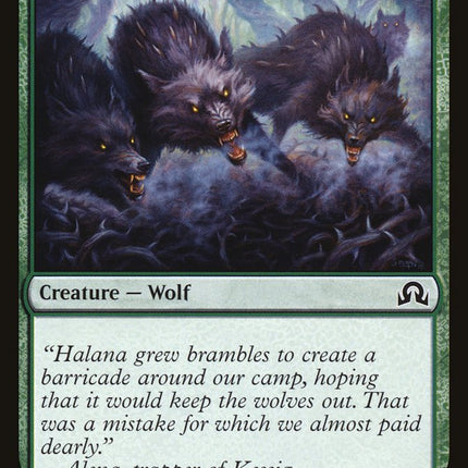 Thornhide Wolves [Shadows over Innistrad]