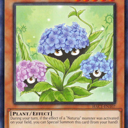 Naturia Hydrangea [HAC1-EN107] Common