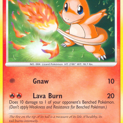 Charmander (82/132) [Diamond & Pearl: Secret Wonders]